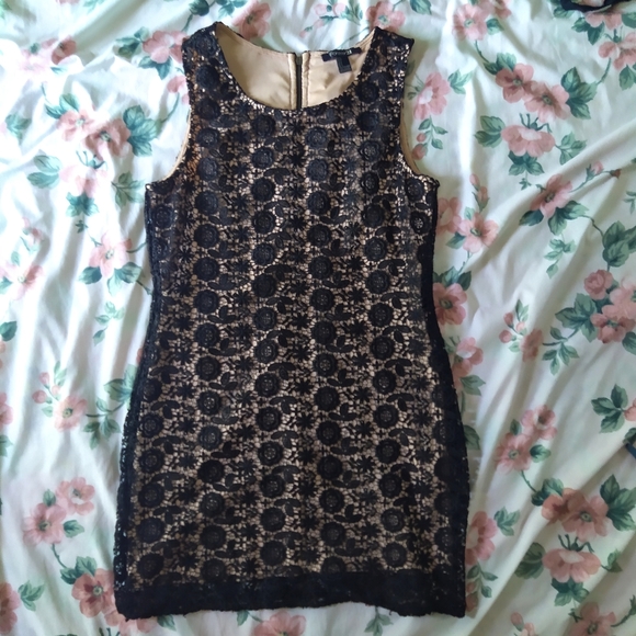 Black Embroidered Lace Sleeveless Dress - Picture 4 of 9